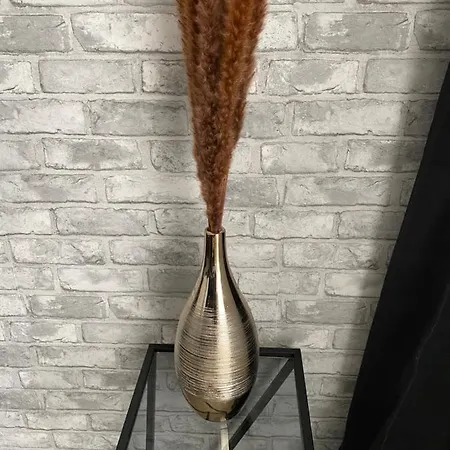 Petit 101 Мюлуз