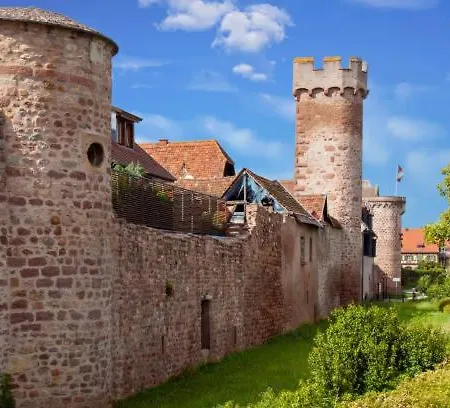 아파트 Petit 101 뮐루즈