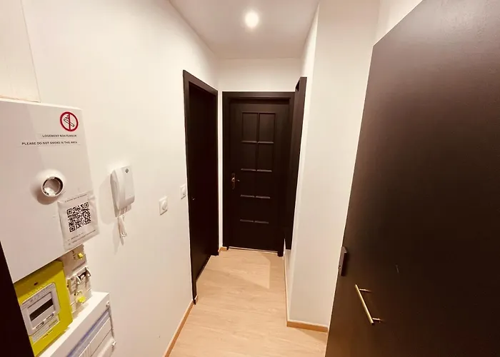 Petit 101 Appartement Mulhouse