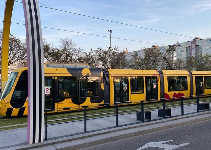 Petit 101 Mulhouse